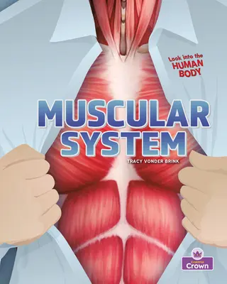 Svalový systém - Muscular System