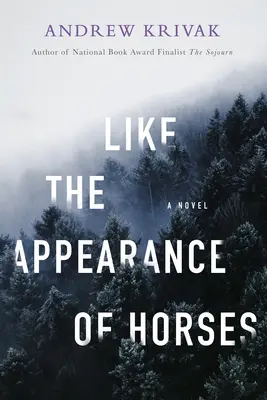 Ako vzhľad koní - Like the Appearance of Horses