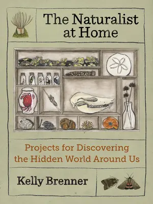 Prírodovedec doma: Projekty na objavovanie skrytého sveta okolo nás - The Naturalist at Home: Projects for Discovering the Hidden World Around Us