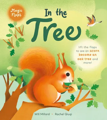 Na strome: Knižka s čarovnými klapkami - In the Tree: A Magic Flaps Book