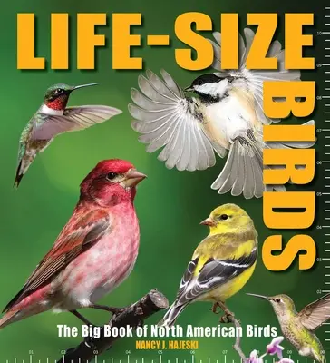 Vtáky v životnej veľkosti: Veľká kniha vtákov Severnej Ameriky - Life-Size Birds: The Big Book of North American Birds