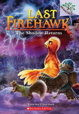 Stín sa vracia: A Branches Book (the Last Firehawk #12) - The Shadow Returns: A Branches Book (the Last Firehawk #12)