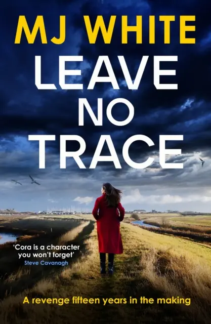 Nenechať stopy - napínavý detektívny román plný zvratov - Leave No Trace - A suspenseful, twisty detective novel