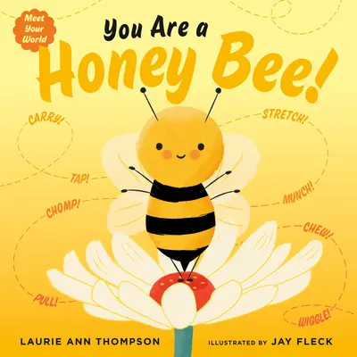 Ty si včela! - You Are a Honey Bee!