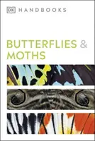 Motýle a mole - Butterflies and Moths