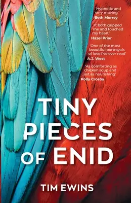 Drobné kúsky Enid - Tiny Pieces of Enid