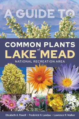 Sprievodca bežnými rastlinami národnej rekreačnej oblasti Lake Mead - A Guide to Common Plants of Lake Mead National Recreation Area