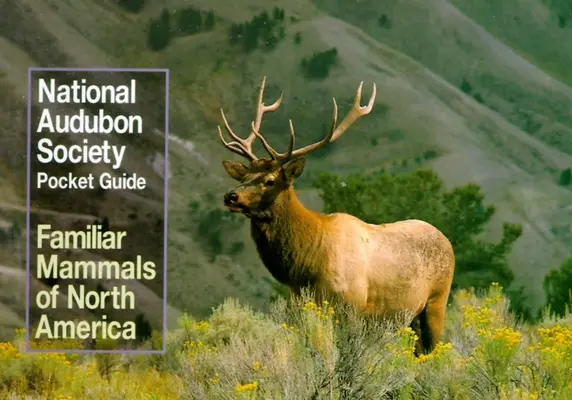 National Audubon Society Vreckový sprievodca známymi cicavcami - National Audubon Society Pocket Guide to Familiar Mammals