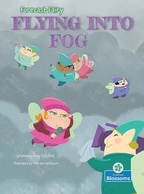 Lietanie v hmle - Flying Into Fog