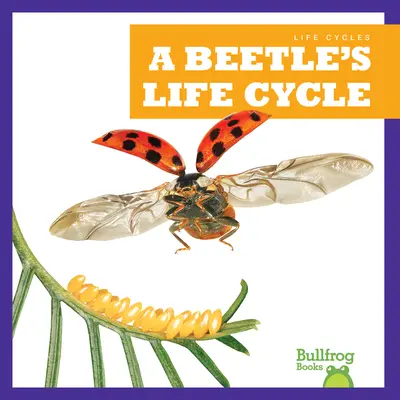 Životný cyklus chrobáka - A Beetle's Life Cycle