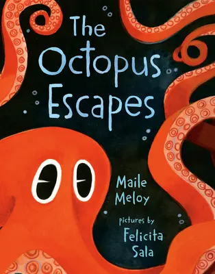 Chobotnica uniká - The Octopus Escapes