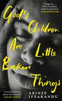 Božie deti sú malé rozbité veci - Víťaz Ceny Dylana Thomasa za rok 2023 - God's Children Are Little Broken Things - Winner of the 2023 Dylan Thomas Prize