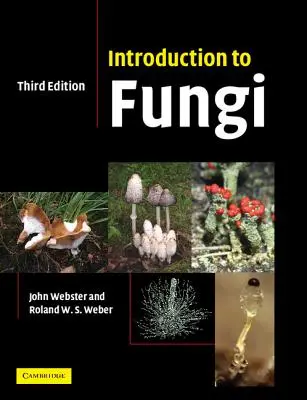 Úvod do húb - Introduction to Fungi