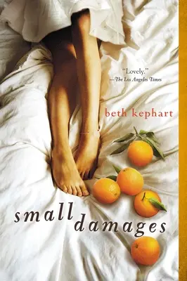 Malé škody - Small Damages