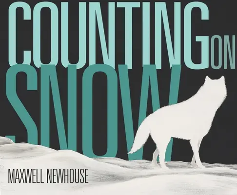 Počítanie na snehu - Counting on Snow