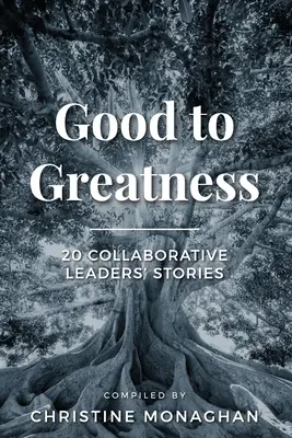 Dobré k veľkému: 20 príbehov spolupracujúcich lídrov - Good to Greatness: 20 Collaborative Leaders' Stories