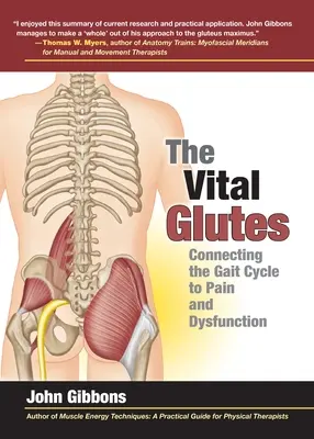 Životne dôležité hýžde: Spojenie cyklu chôdze s bolesťou a dysfunkciou - The Vital Glutes: Connecting the Gait Cycle to Pain and Dysfunction