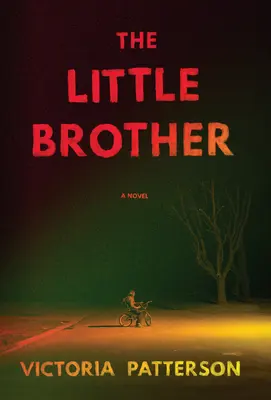 Malý brat - román - Little Brother - A Novel