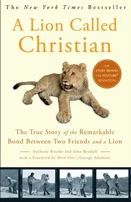 Lev zvaný kresťan - A Lion Called Christian