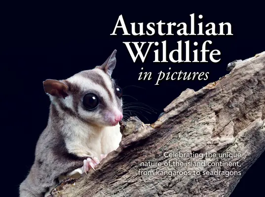 Austrálska divoká príroda na obrázku: Od klokanov po morské draky - Australian Wildlife in Picture: Celebrating the Unique Nature of the Island Continent, from Kangaroos to Sea Dragons