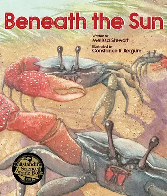 Pod slnkom - Beneath the Sun