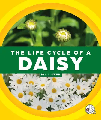 Životný cyklus sedmokrásky - The Life Cycle of a Daisy