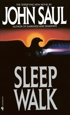 Námesačnosť - Sleepwalk