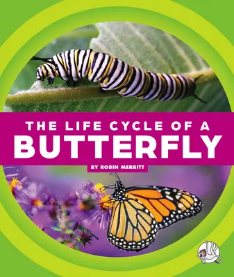 Životný cyklus motýľa - The Life Cycle of a Butterfly