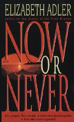 Teraz alebo nikdy - román - Now or Never - A Novel