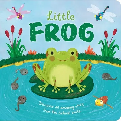 Príbehy o prírode: Malá žabka: Polstrovaná kniha - Nature Stories: Little Frog: Padded Board Book
