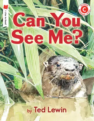 Vidíš ma? - Can You See Me?