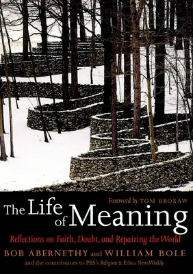 Život zmyslu - Úvahy o viere, pochybnostiach a náprave sveta - Life Of Meaning - Reflections on Faith, Doubt and Repairing the World