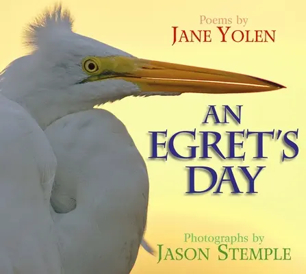 Deň volaviek - An Egret's Day