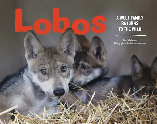 Lobos: Vlčia rodina sa vracia do divočiny - Lobos: A Wolf Family Returns to the Wild
