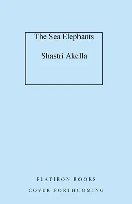Morské slony - The Sea Elephants