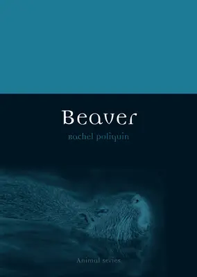 Bobor - Beaver