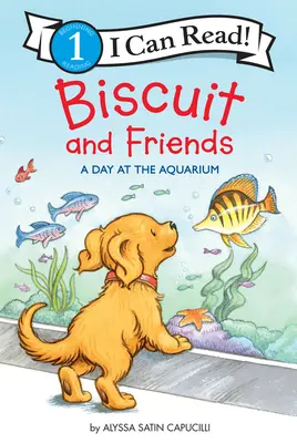 Piškót a jeho priatelia: A Day at Aquarium (Deň v akváriu) - Biscuit and Friends: A Day at the Aquarium