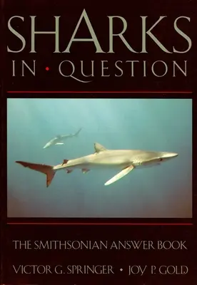 Žraloky v otázkach - Sharks in Question