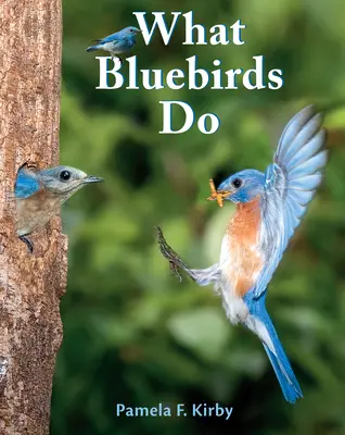 Čo robia modré vtáky - What Bluebirds Do