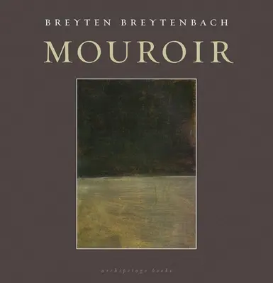 Mouroir: Zrkadlové poznámky k románu - Mouroir: Mirrornotes of a Novel