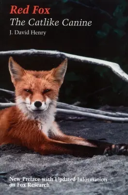 Líška hrdzavá - mačkovitá šelma - Red Fox - The Catlike Canine