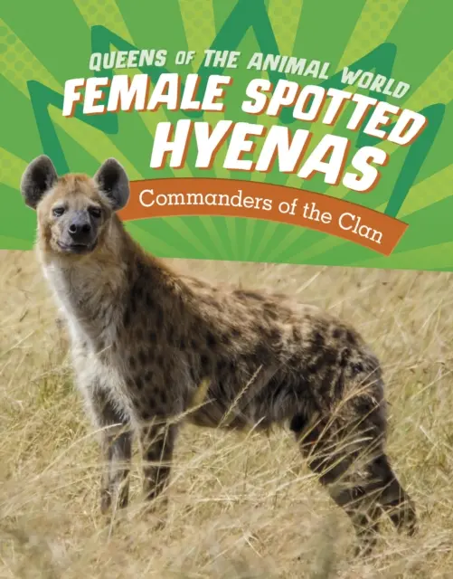 Samice hyen škvrnitých - veliteľky klanu - Female Spotted Hyenas - Commanders of the Clan