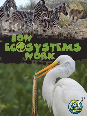Ako fungujú ekosystémy - How Ecosystems Work