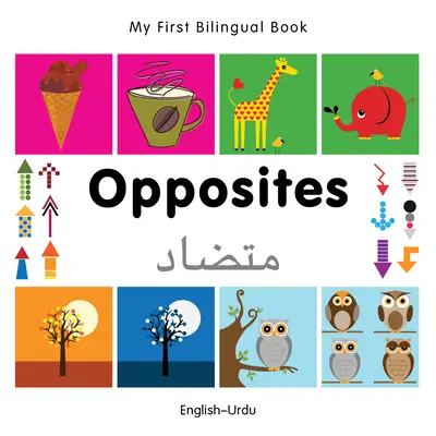 Moja prvá dvojjazyčná kniha - Opozitá (anglicko-urdská) - My First Bilingual Book-Opposites (English-Urdu)