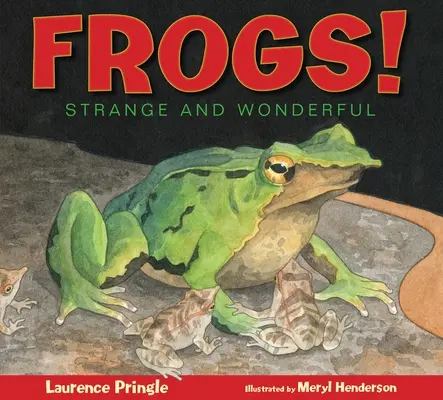 Žaby! Žaby: zvláštne a úžasné - Frogs!: Strange and Wonderful