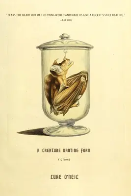 Tvor, ktorý chce mať formu: Fikcie - A Creature Wanting Form: Fictions