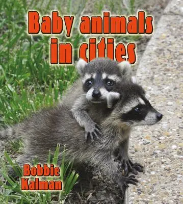 Mláďatá zvierat v mestách - Baby Animals in Cities