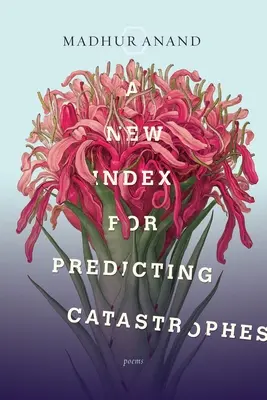 Nový index na predpovedanie katastrof - A New Index for Predicting Catastrophes