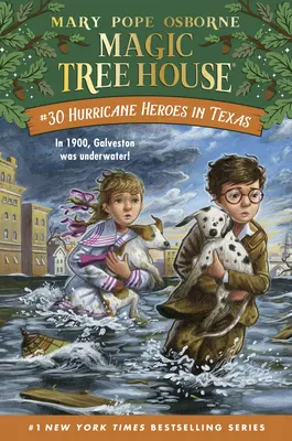 Hrdinovia hurikánu v Texase - Hurricane Heroes in Texas