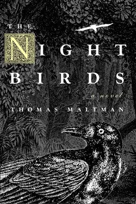 Nočné vtáky - The Night Birds